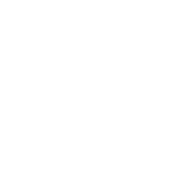 Foresta Taller